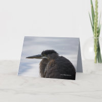 Close to a Heron