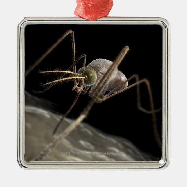 Close up 3d mosquito biting metal tree decoration (Front)