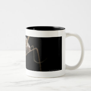Close up 3d mosquito biting Two-Tone coffee mug