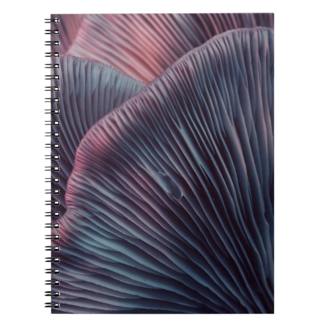 Close up beautiful bunch mushrooms colour light in notebook (Front)