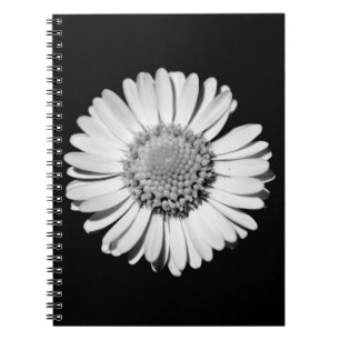 Close-up black and white daisy notebook