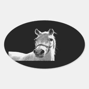 Close-up Black White Horse in Night Oval Sticker