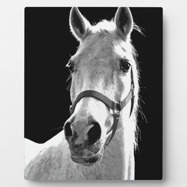 Close-up Black White Horse in Night Plaque (Front)