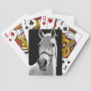 Close-up Black White Horse in Night Playing Cards