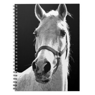 Close-up Black White Horse in Night Spiral Notebook