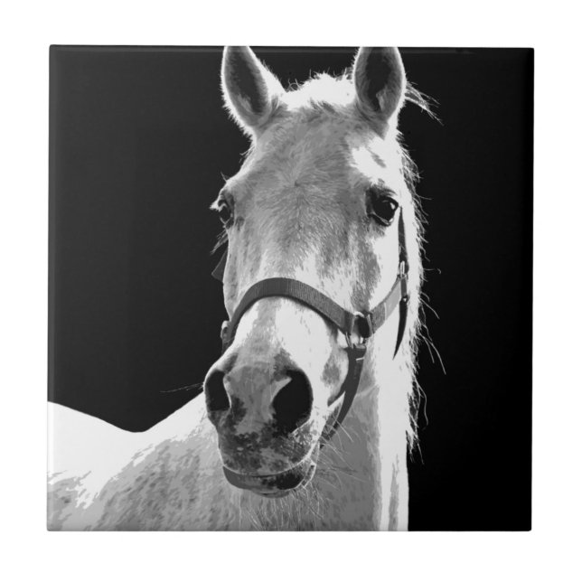 Close-up Black White Horse in Night Tile (Front)