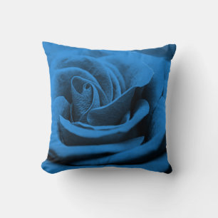 Close-up blue red rose, macro beauty. cushion
