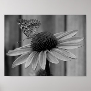 Close Up Butterfly Poster