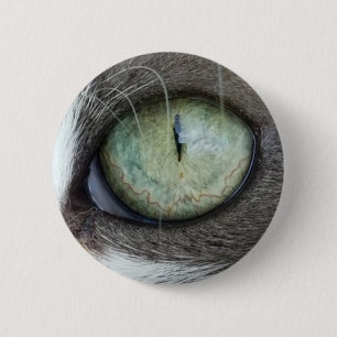Close Up Cat's Eye 6 Cm Round Badge