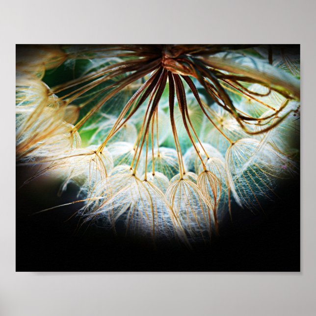 Close Up Detailed Flower Nature Photography Poster (Front)