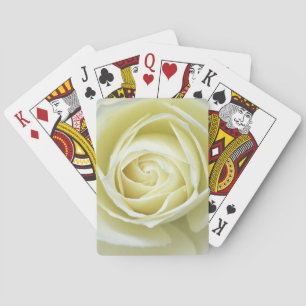 Close up details of white rose playing cards