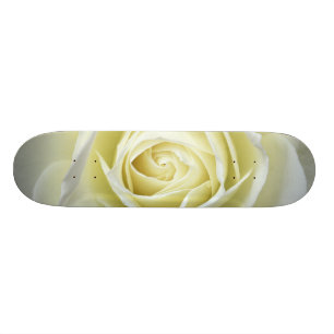 Close up details of white rose skateboard