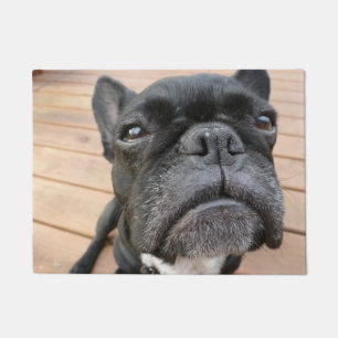 Close Up Frenchie Door Mat