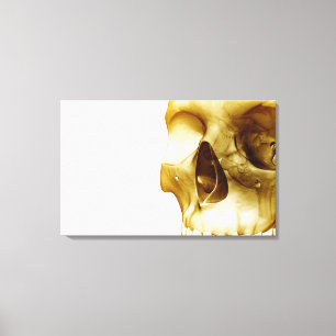 Close up frontal view of the brain inside a skull canvas print