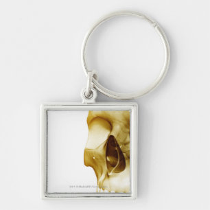 Close up frontal view of the brain inside a skull key ring
