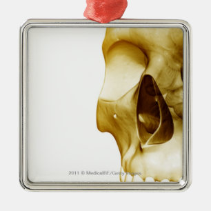 Close up frontal view of the brain inside a skull metal tree decoration