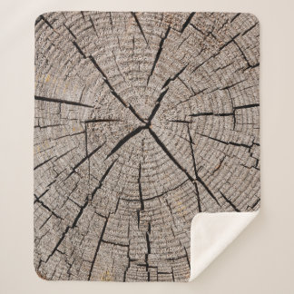 Close up gray background texture of old weathered sherpa blanket