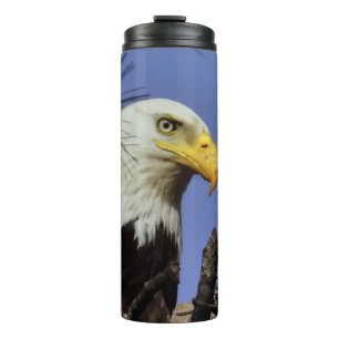Close Up Head Shot of Bald Eagle Thermal Tumbler