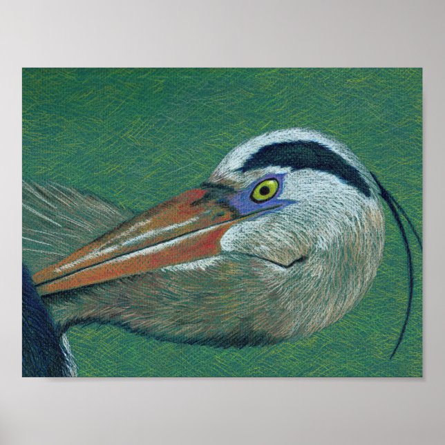 Close up Heron Poster (Front)