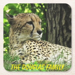 Close-up Leopard Square Paper Coaster