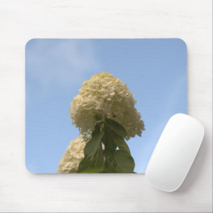 Close-up Lime Hydrangeas pointing to sky Mousepad