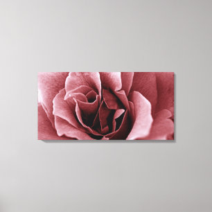 Close Up Monochrome Rose Flower Canvas Print