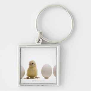 Close-up of a baby chick with three eggs key ring
