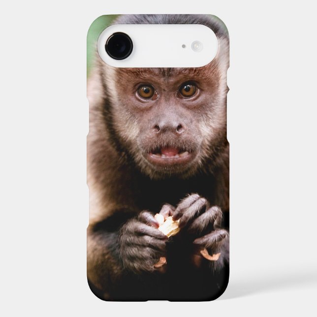 Close-up of a black-capped capuchin monkey Case-Mate iPhone case (Back)
