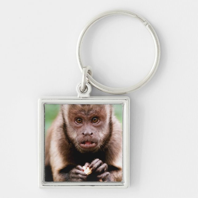 Close-up of a black-capped capuchin monkey key ring (Front)