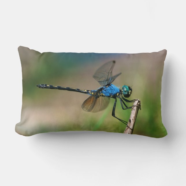 Close-Up Of A Blue Dragon Fly On A Branch Lumbar Cushion (Front)