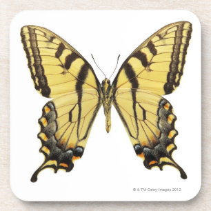 Close-up of a butterfly 2 coaster