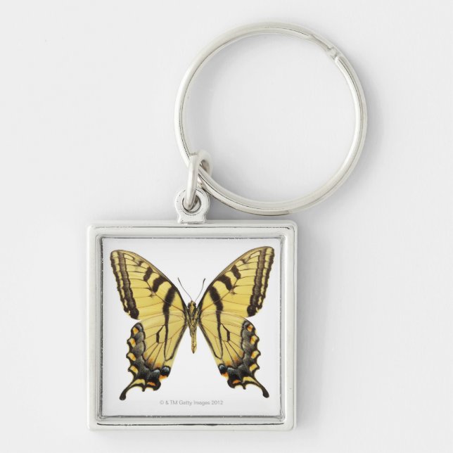 Close-up of a butterfly 2 key ring (Front)