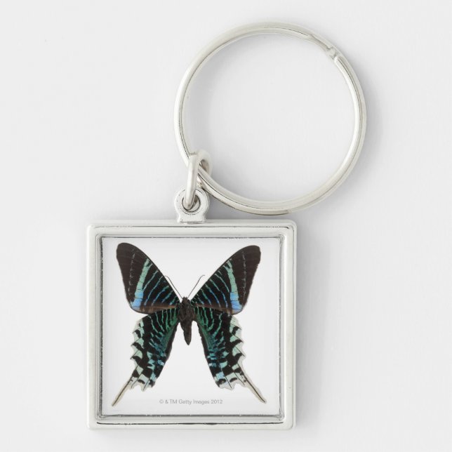 Close-up of a butterfly key ring (Front)