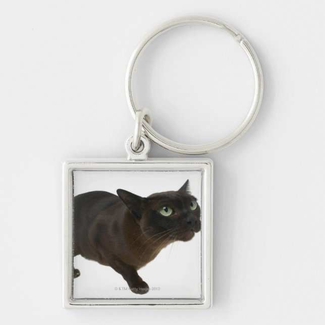 Close-up of a cat 2 key ring (Front)