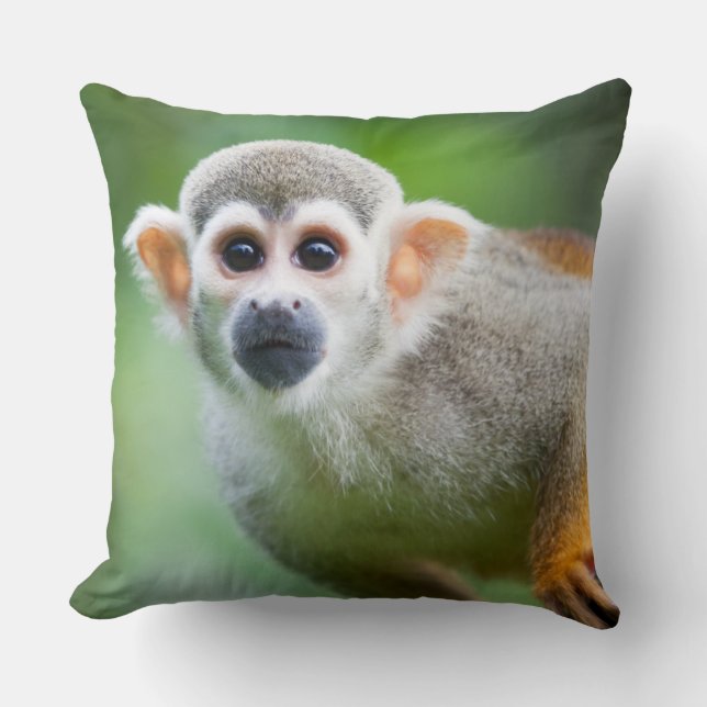 Close-up of a Common Squirrel Monkey Cushion (Front)