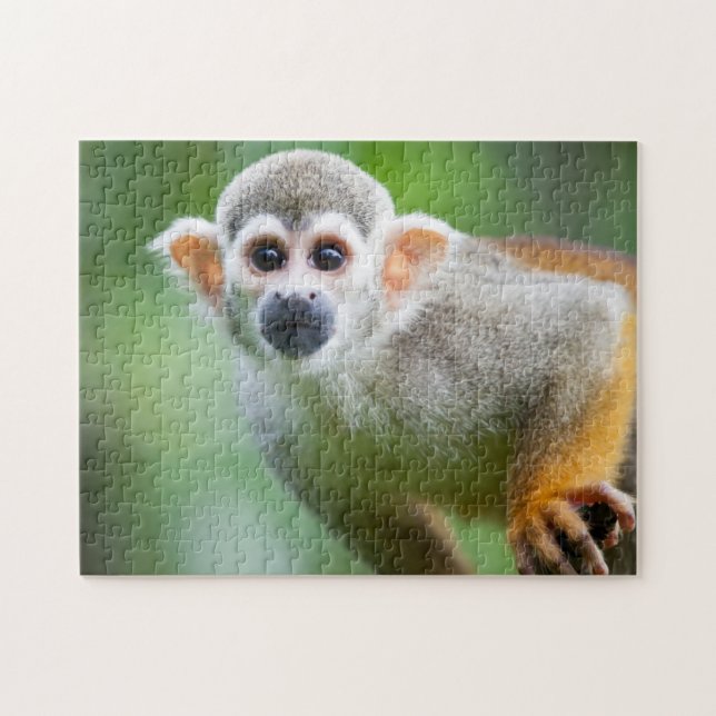 Close-up of a Common Squirrel Monkey Jigsaw Puzzle (Horizontal)