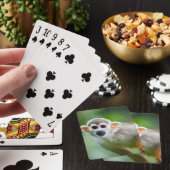 Close-up of a Common Squirrel Monkey Playing Cards (In Situ)