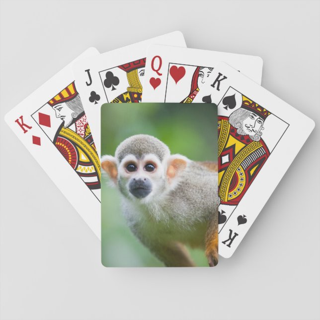 Close-up of a Common Squirrel Monkey Playing Cards (Back)