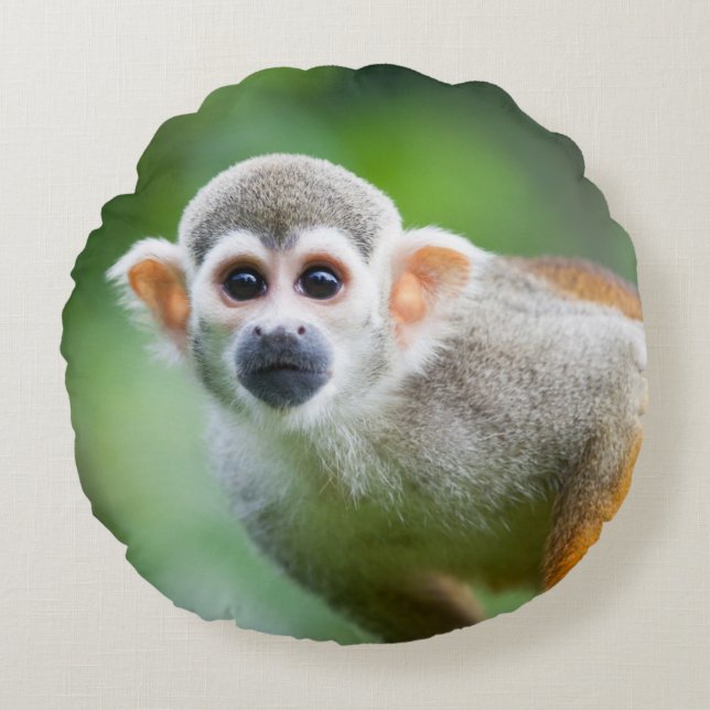 Close-up of a Common Squirrel Monkey Round Cushion (Front)