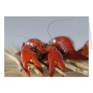 Close-up of a crab on sticks