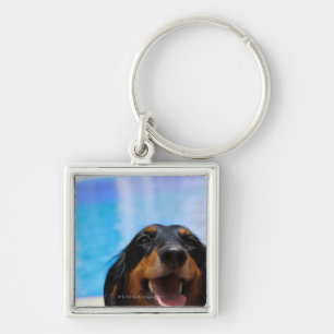 Close-up of a Dachshund dog panting Key Ring