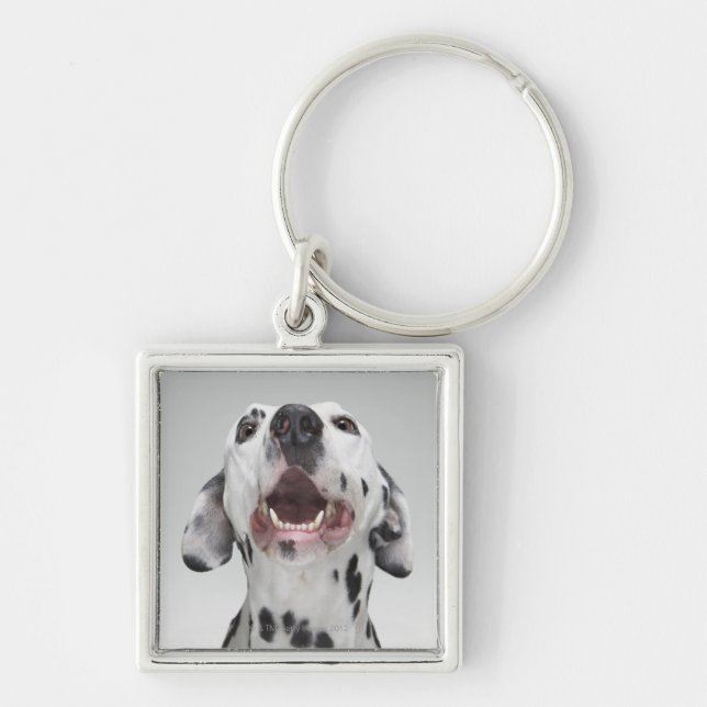 Close up of a Dalmatian dog Key Ring (Front)