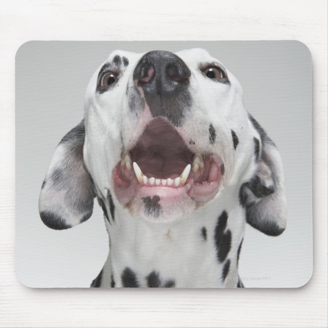 Close up of a Dalmatian dog Mouse Pad (Front)