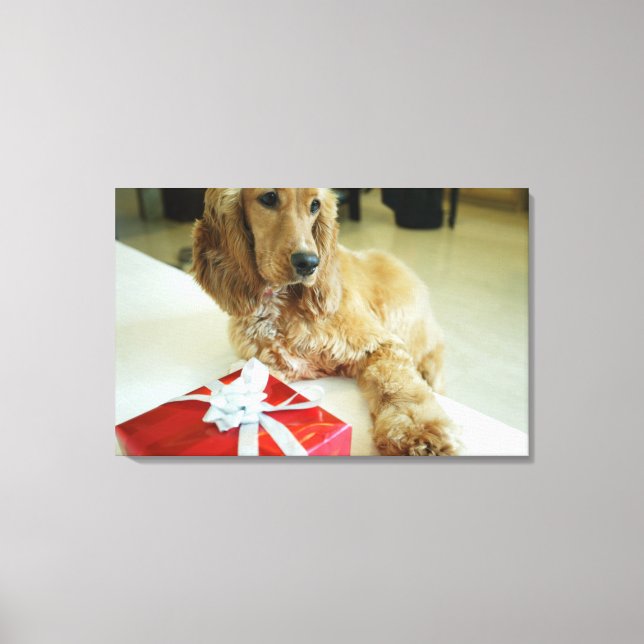 Close-up of a dog with a gift canvas print (Front)