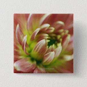 Close-up of a flower 15 cm square badge