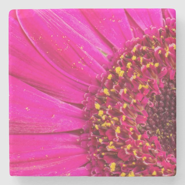 Close-up of a Gerber daisy Stone Coaster (Front)