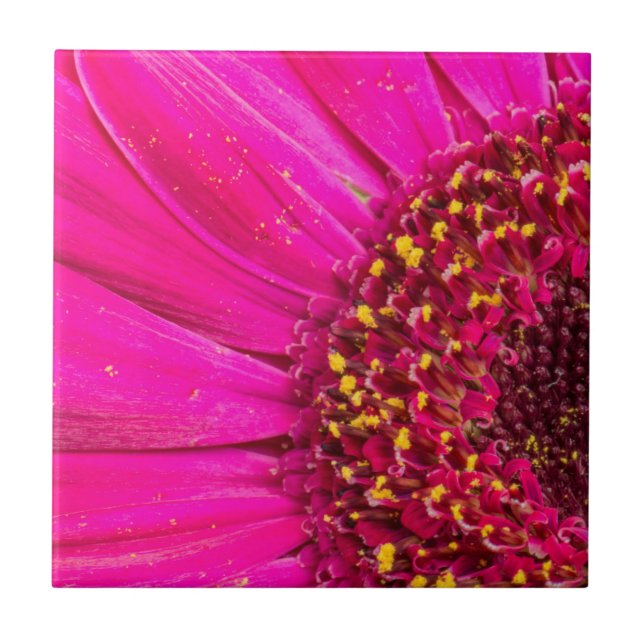 Close-up of a Gerber daisy Tile (Front)