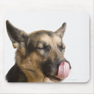 Close-up of a German Shepherd licking its nose Mouse Pad