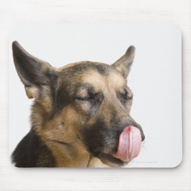 Close-up of a German Shepherd licking its nose Mouse Pad (Front)