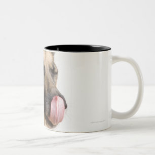 Close-up of a German Shepherd licking its nose Two-Tone Coffee Mug